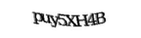 Security check image, please type the characters shown