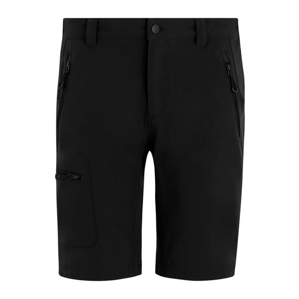 Men's Prolite Stretch Shorts